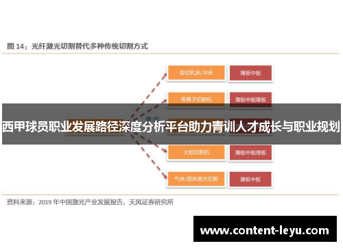 西甲球员职业发展路径深度分析平台助力青训人才成长与职业规划 西甲球员职业发展路径深度分析平台助力青训人才成长与职业规划
