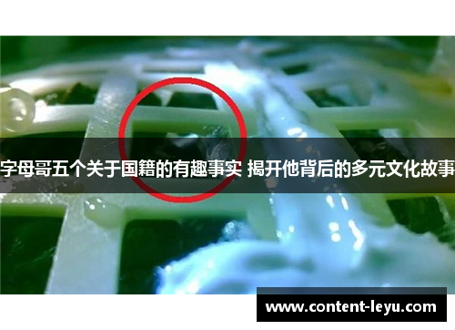 字母哥五个关于国籍的有趣事实 揭开他背后的多元文化故事 字母哥五个关于国籍的有趣事实 揭开他背后的多元文化故事