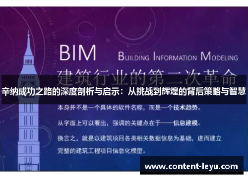 辛纳成功之路的深度剖析与启示：从挑战到辉煌的背后策略与智慧