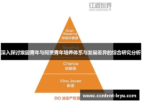 深入探讨埃因青年与阿贾青年培养体系与发展差异的综合研究分析