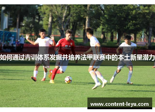如何通过青训体系发掘并培养法甲联赛中的本土新星潜力
